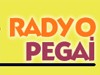 Radyo Pegai Bilgileri