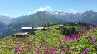 Sen Anlat Karadeniz Yazarları Yeniden Farklı Bir Karadeniz Projesi İçin Bir Araya Geldi! 